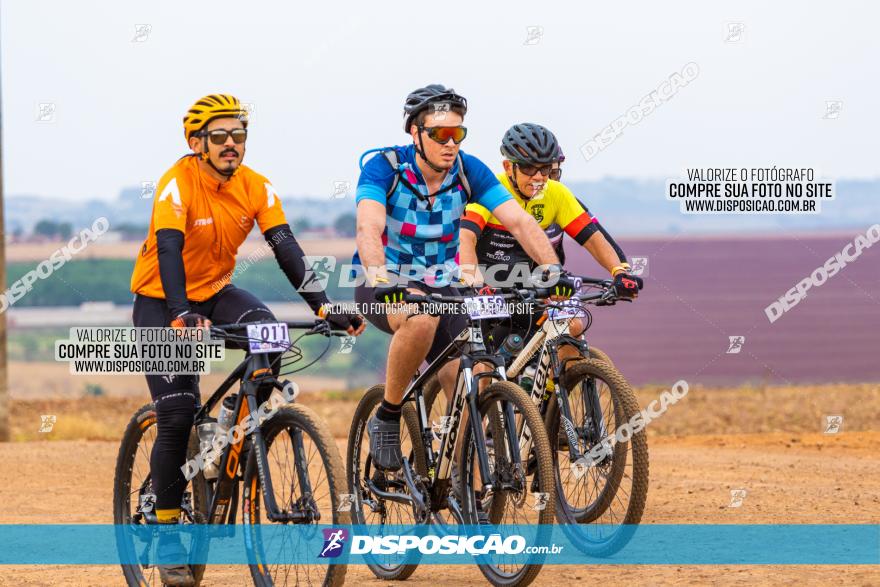 Rota das Capelas de Mandaguaçu