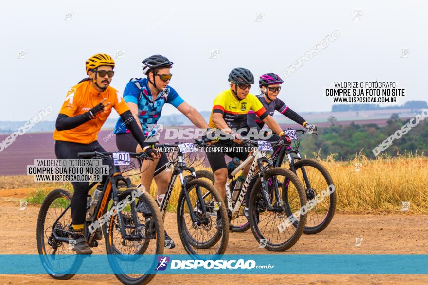 Rota das Capelas de Mandaguaçu