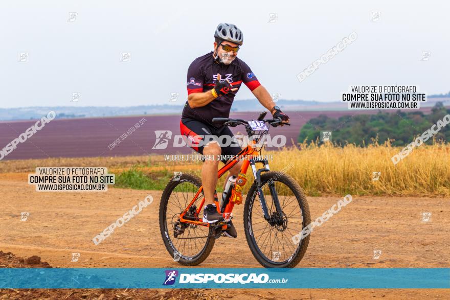 Rota das Capelas de Mandaguaçu