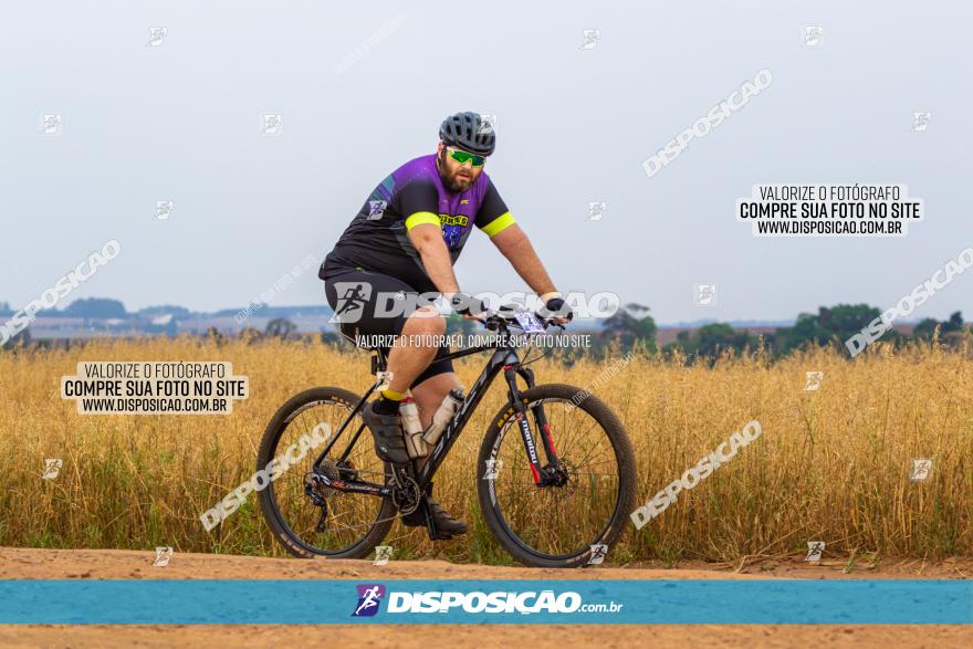 Rota das Capelas de Mandaguaçu