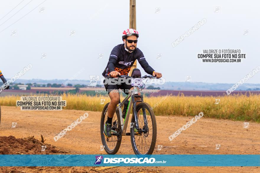 Rota das Capelas de Mandaguaçu