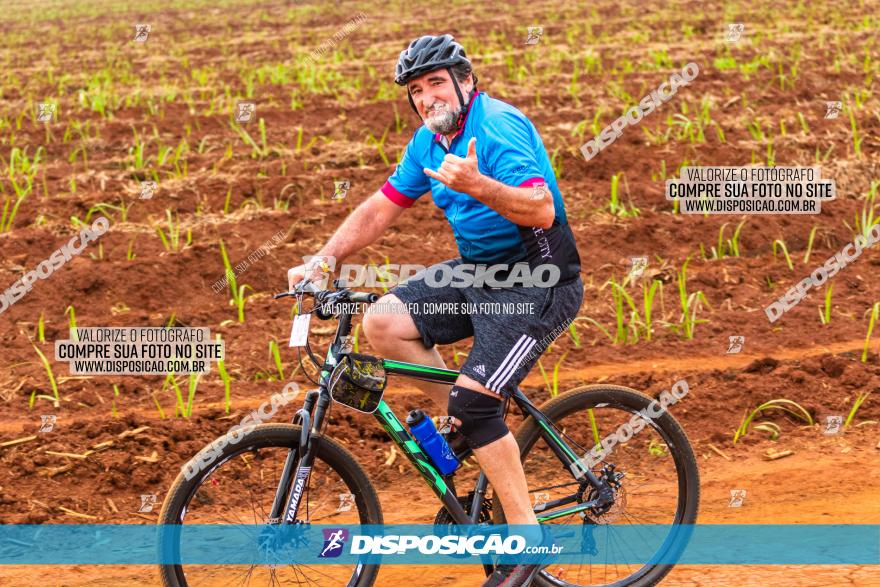 Rota das Capelas de Mandaguaçu