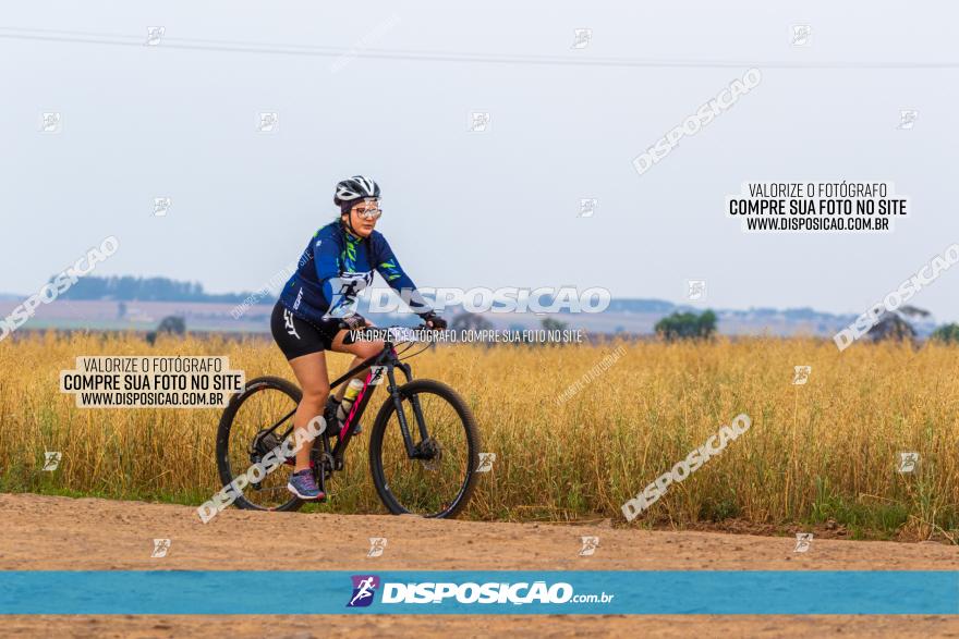 Rota das Capelas de Mandaguaçu