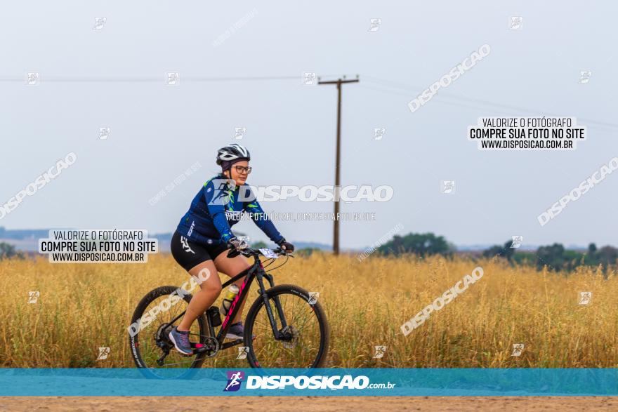 Rota das Capelas de Mandaguaçu