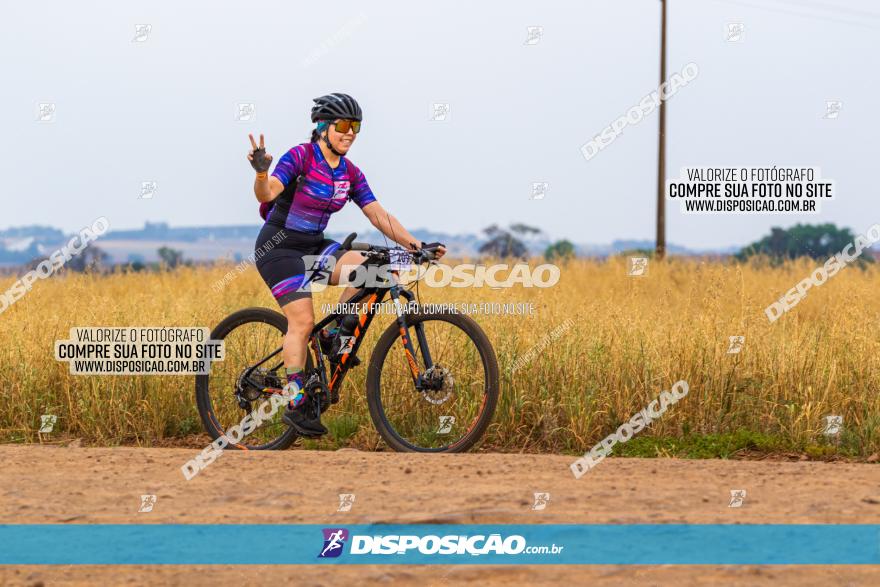 Rota das Capelas de Mandaguaçu