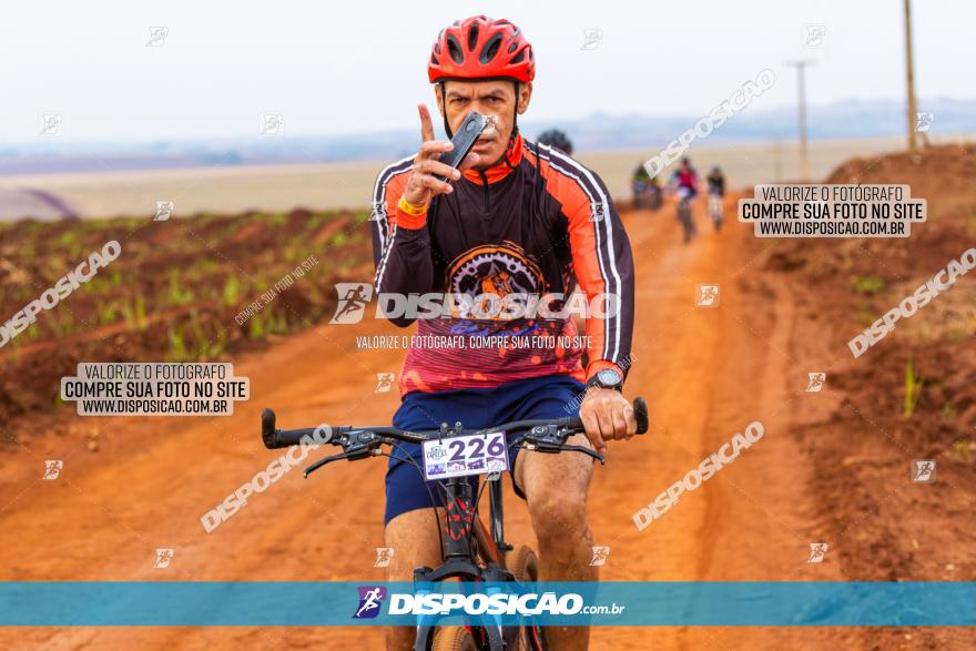 Rota das Capelas de Mandaguaçu