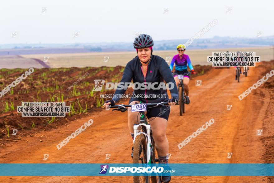 Rota das Capelas de Mandaguaçu