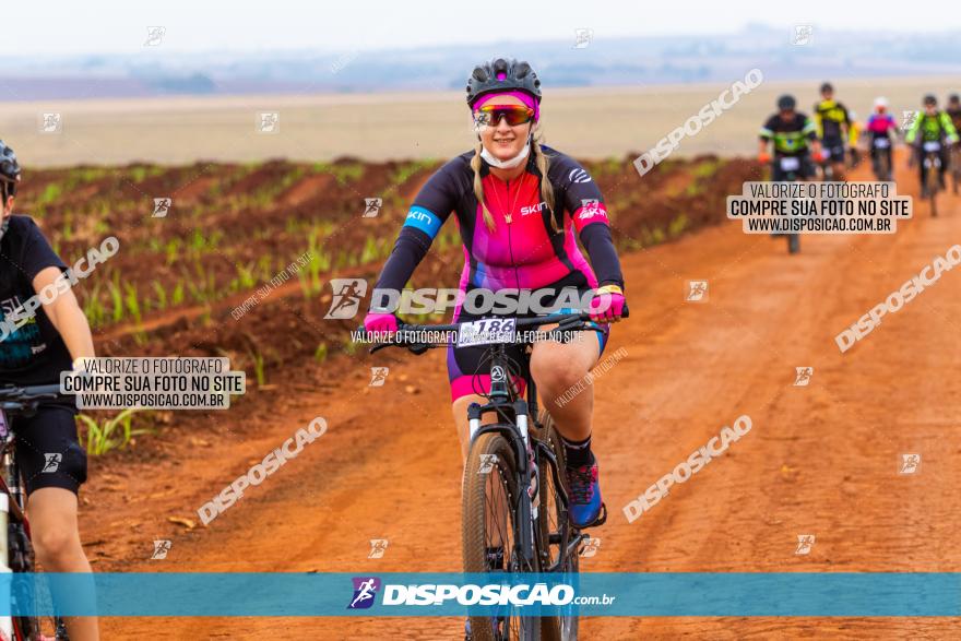 Rota das Capelas de Mandaguaçu