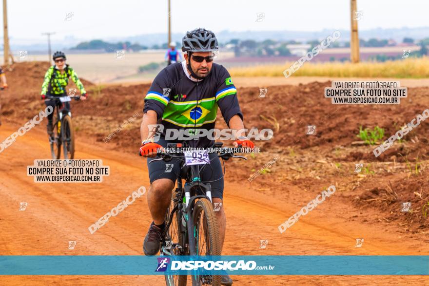 Rota das Capelas de Mandaguaçu