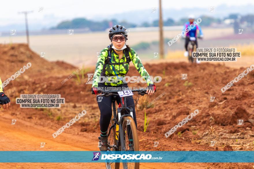 Rota das Capelas de Mandaguaçu