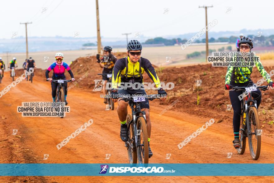 Rota das Capelas de Mandaguaçu