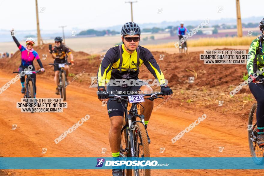 Rota das Capelas de Mandaguaçu