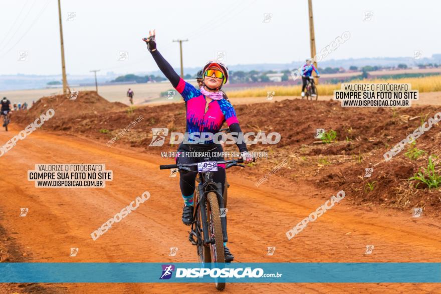 Rota das Capelas de Mandaguaçu