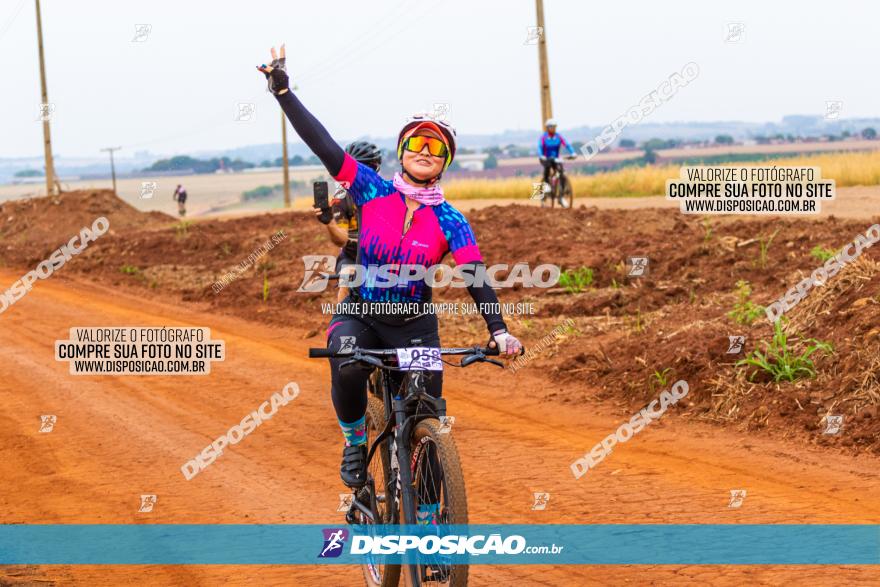 Rota das Capelas de Mandaguaçu