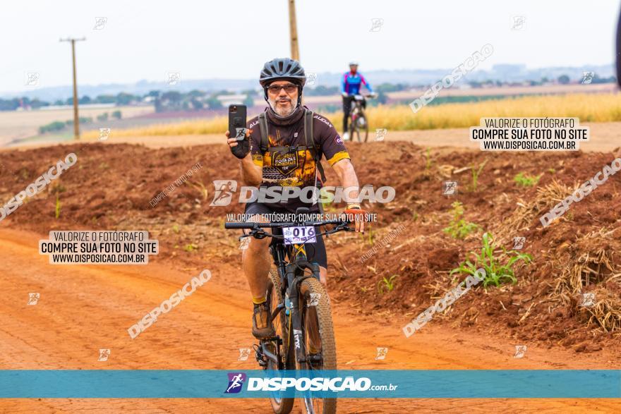 Rota das Capelas de Mandaguaçu