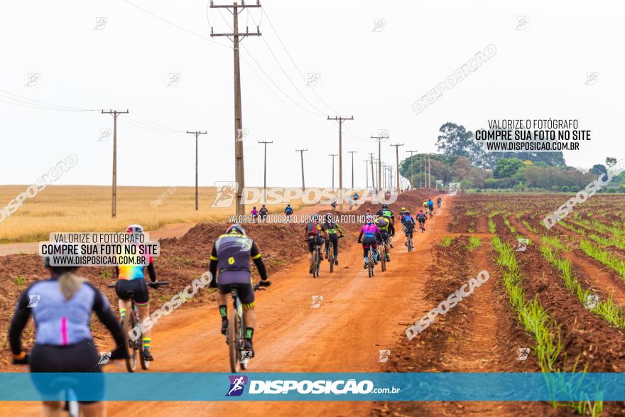 Rota das Capelas de Mandaguaçu