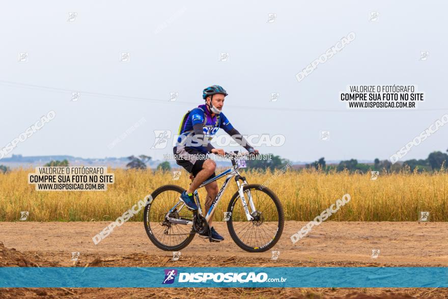 Rota das Capelas de Mandaguaçu