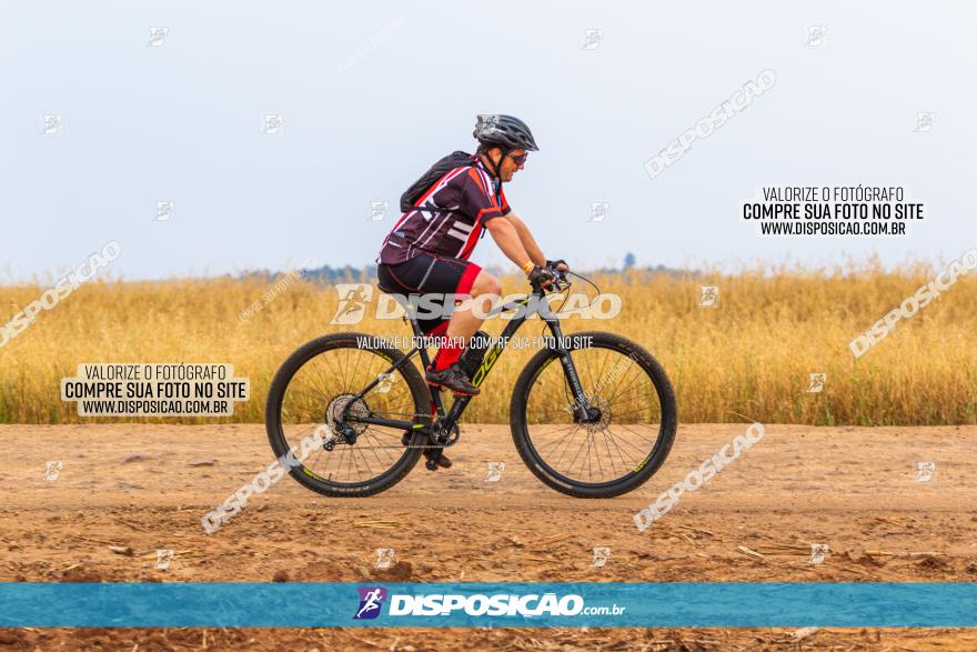 Rota das Capelas de Mandaguaçu