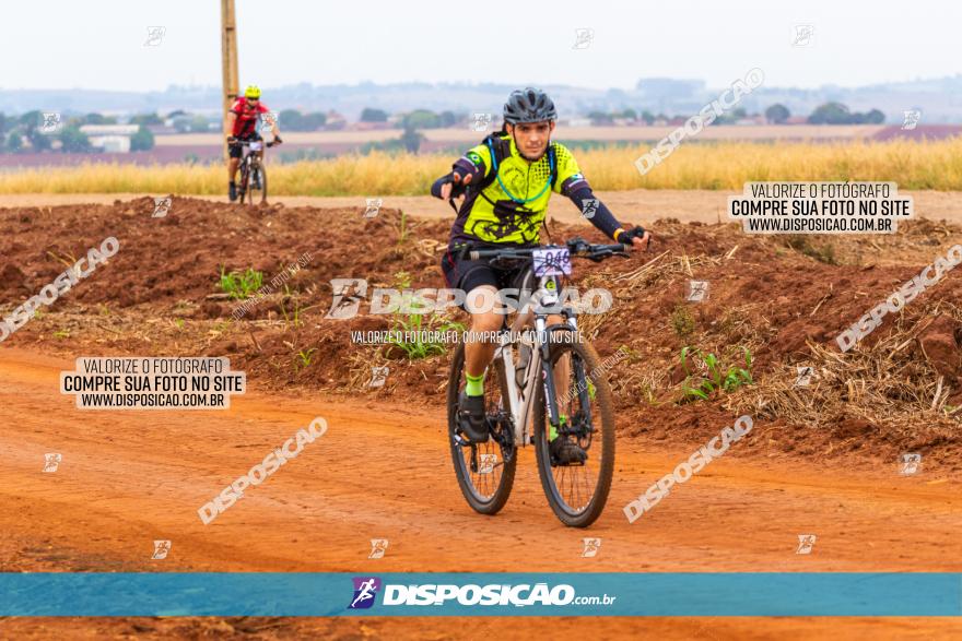 Rota das Capelas de Mandaguaçu