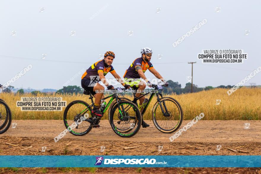 Rota das Capelas de Mandaguaçu