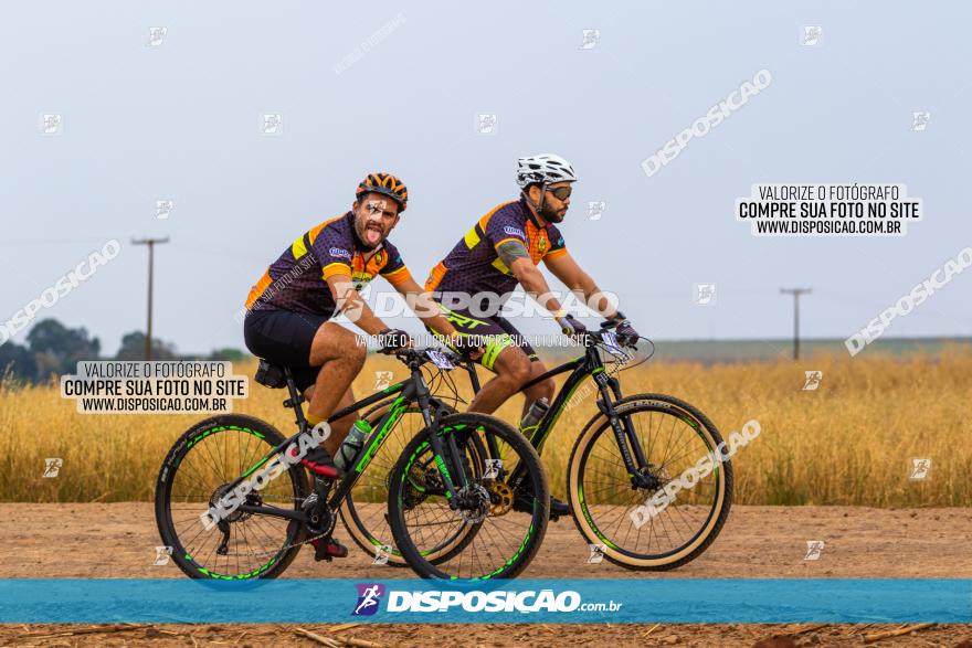 Rota das Capelas de Mandaguaçu