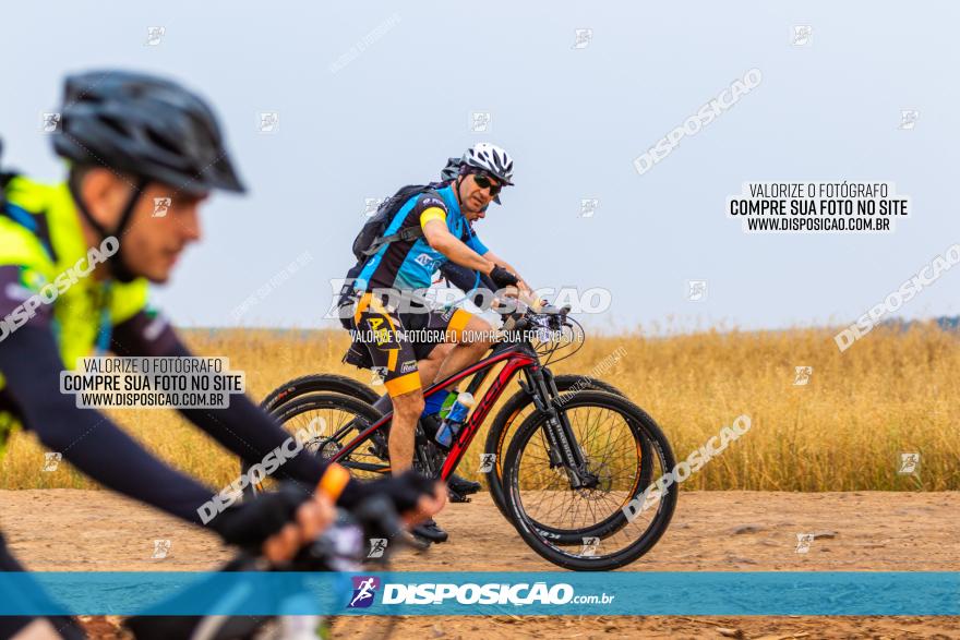 Rota das Capelas de Mandaguaçu