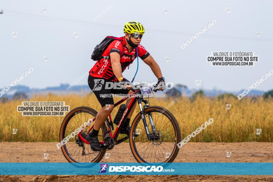 Rota das Capelas de Mandaguaçu