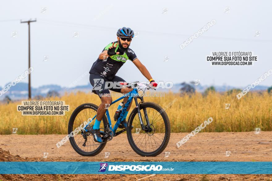 Rota das Capelas de Mandaguaçu