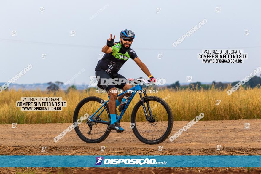 Rota das Capelas de Mandaguaçu