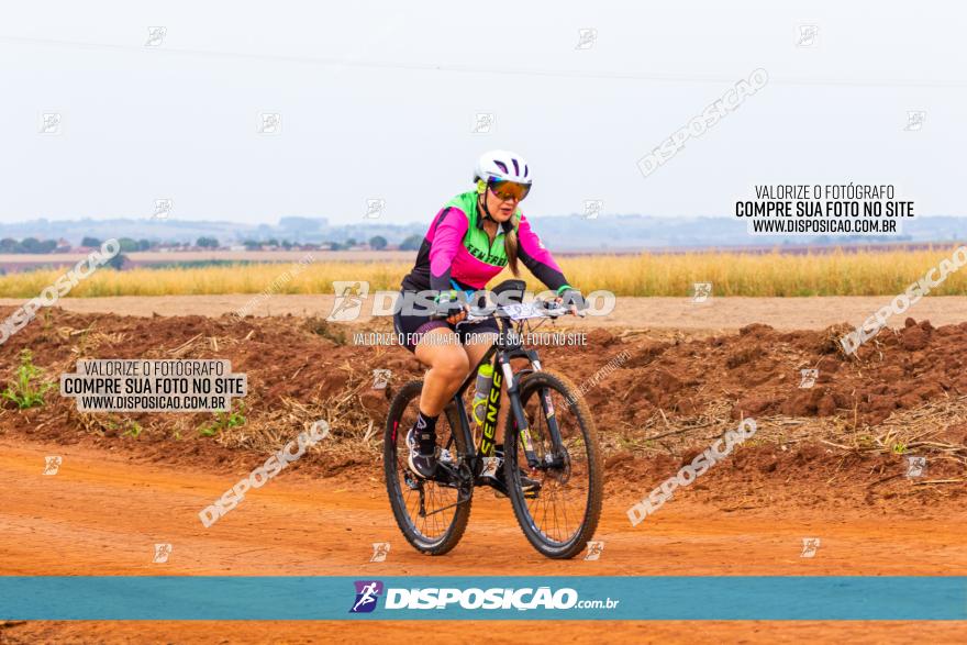 Rota das Capelas de Mandaguaçu