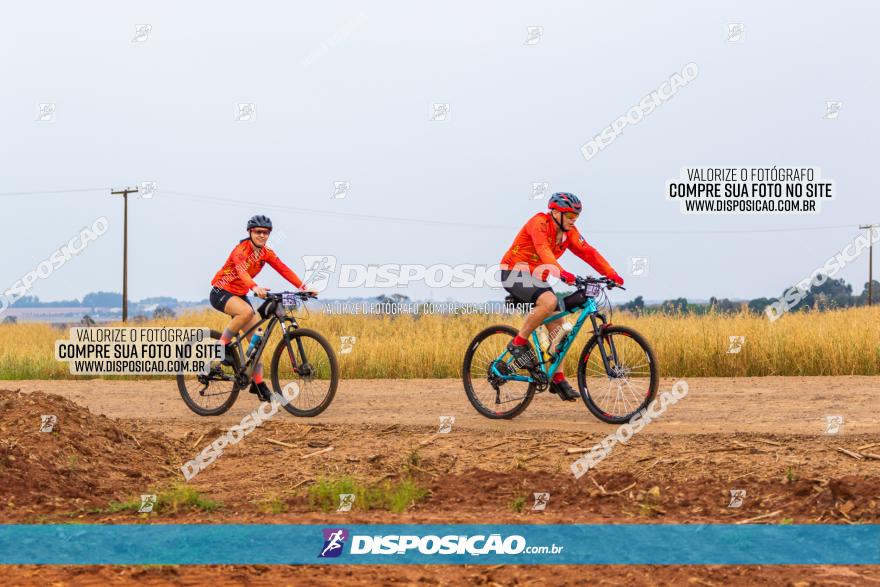 Rota das Capelas de Mandaguaçu