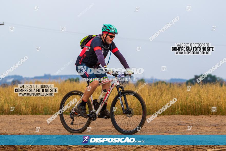 Rota das Capelas de Mandaguaçu