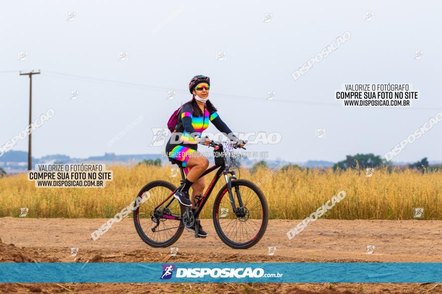 Rota das Capelas de Mandaguaçu