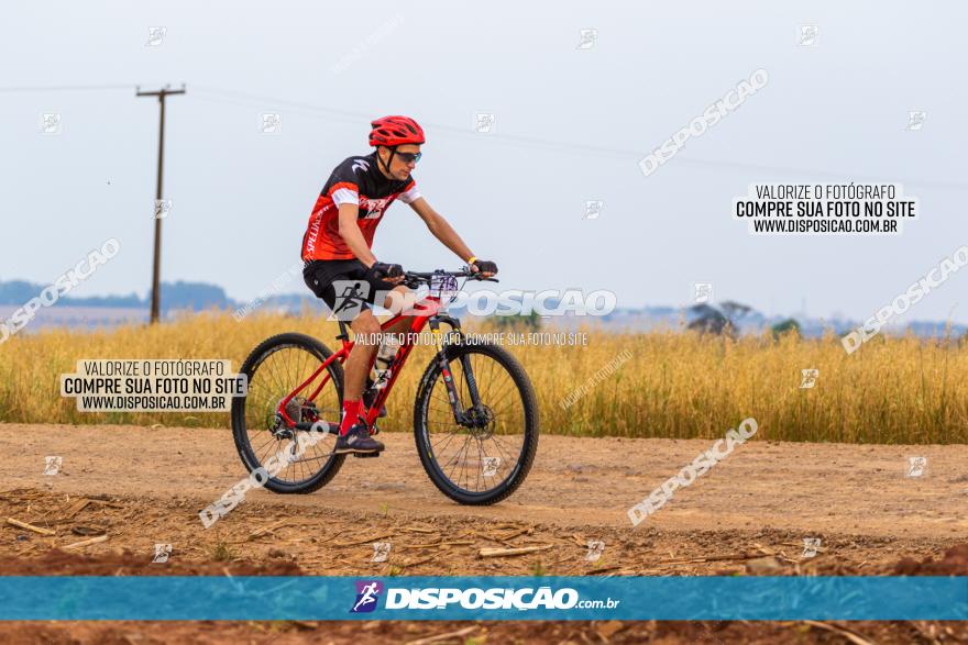 Rota das Capelas de Mandaguaçu