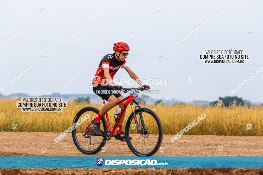 Rota das Capelas de Mandaguaçu