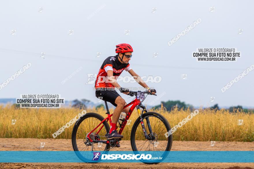 Rota das Capelas de Mandaguaçu