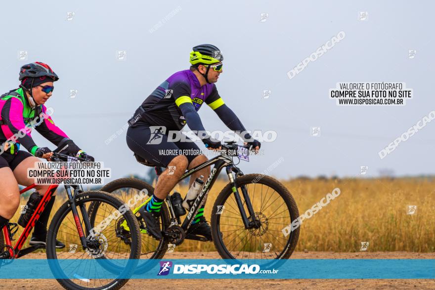 Rota das Capelas de Mandaguaçu