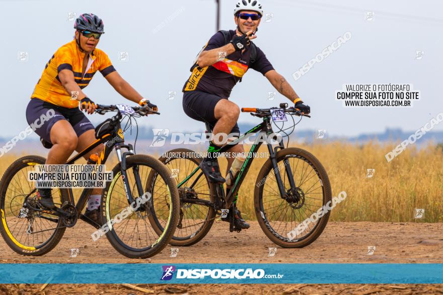 Rota das Capelas de Mandaguaçu