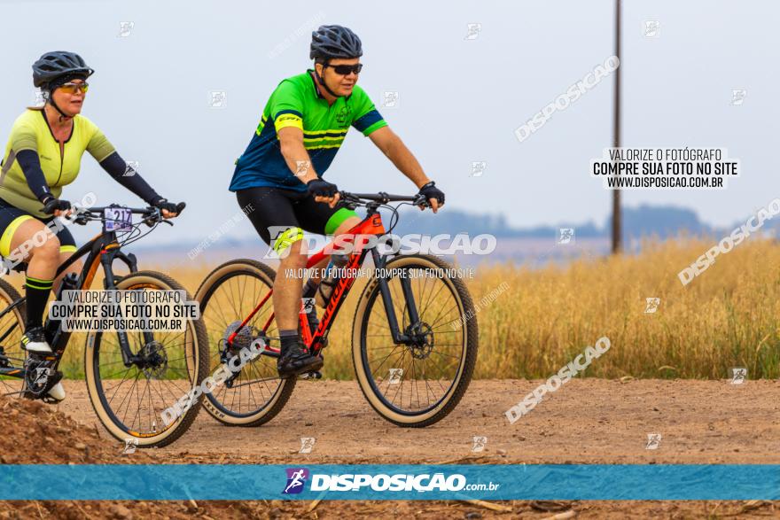 Rota das Capelas de Mandaguaçu