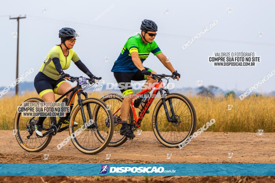 Rota das Capelas de Mandaguaçu