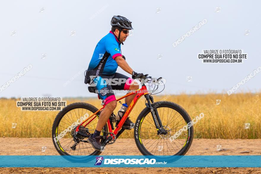 Rota das Capelas de Mandaguaçu