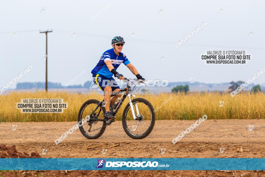 Rota das Capelas de Mandaguaçu