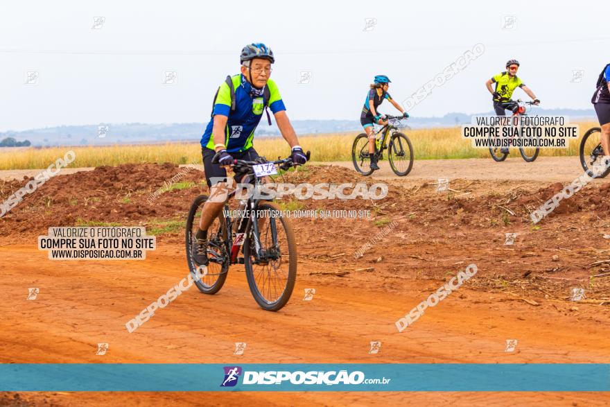 Rota das Capelas de Mandaguaçu