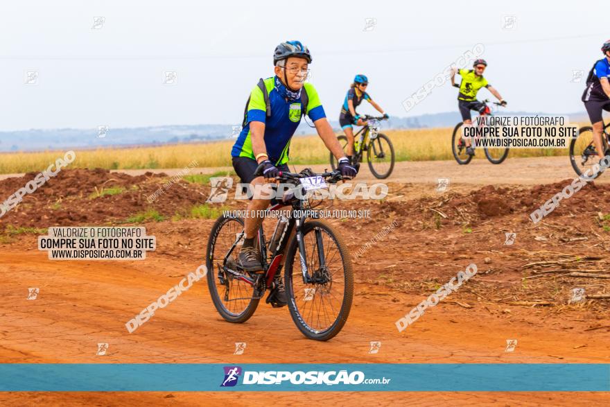 Rota das Capelas de Mandaguaçu