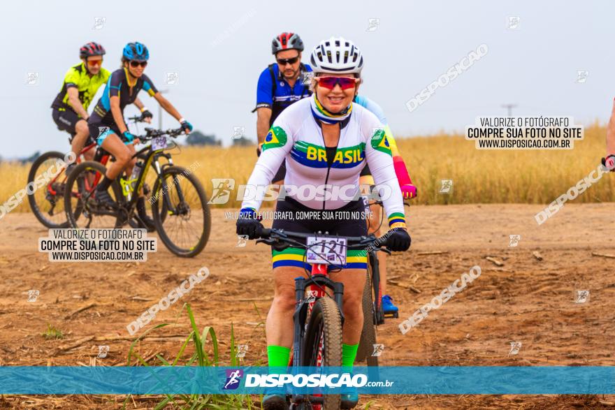 Rota das Capelas de Mandaguaçu