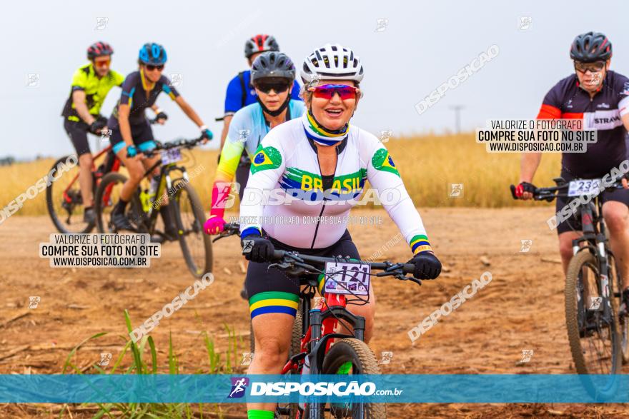 Rota das Capelas de Mandaguaçu