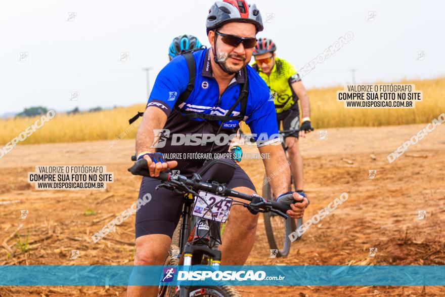 Rota das Capelas de Mandaguaçu