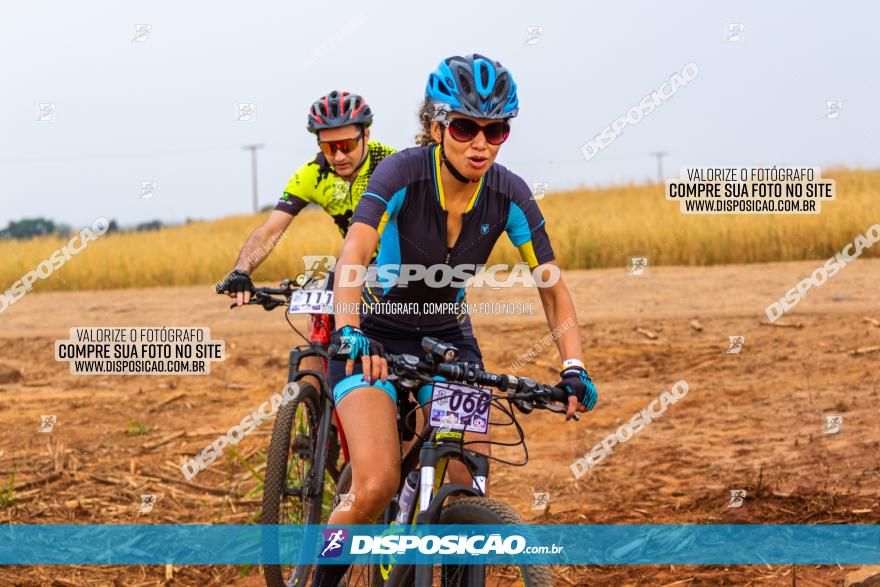 Rota das Capelas de Mandaguaçu