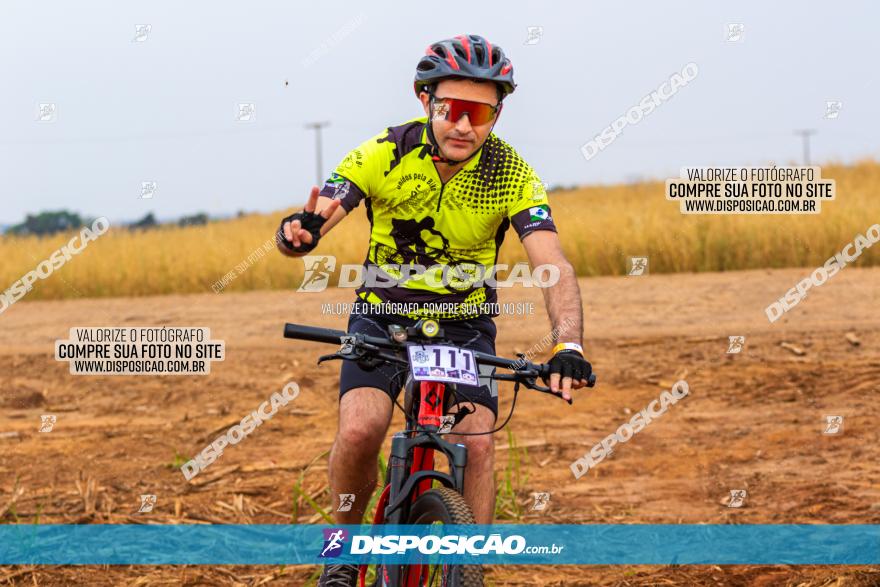 Rota das Capelas de Mandaguaçu