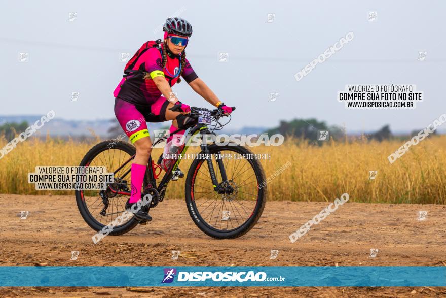 Rota das Capelas de Mandaguaçu